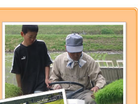 田植えイメージ