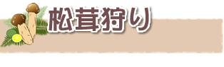 いも掘り
