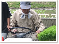 田植えイメージ